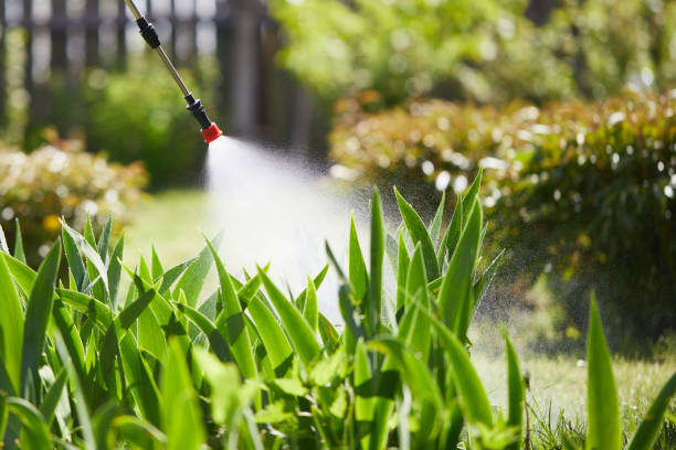 24/7 Emergency Mosquito Control experts in Westville, IN